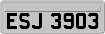ESJ3903