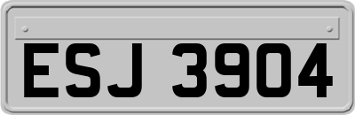 ESJ3904