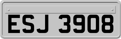 ESJ3908