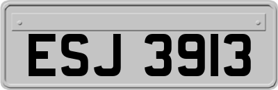 ESJ3913