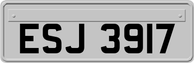 ESJ3917