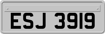 ESJ3919