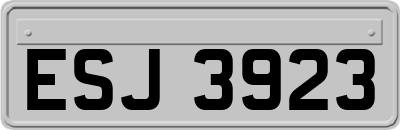 ESJ3923