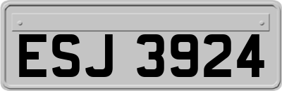 ESJ3924