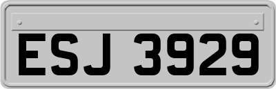 ESJ3929