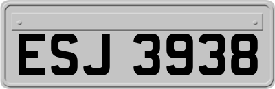 ESJ3938