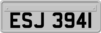 ESJ3941