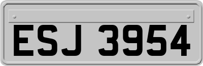 ESJ3954