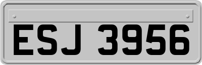 ESJ3956