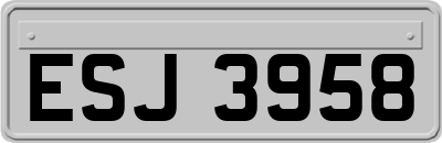 ESJ3958