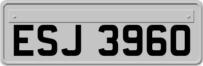 ESJ3960