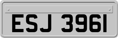 ESJ3961