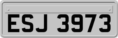 ESJ3973