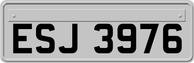 ESJ3976