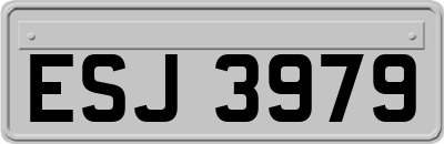 ESJ3979