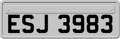 ESJ3983