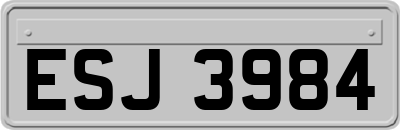 ESJ3984