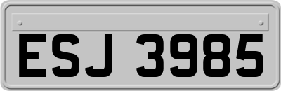 ESJ3985