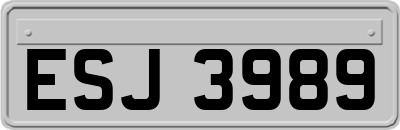 ESJ3989