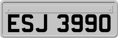 ESJ3990