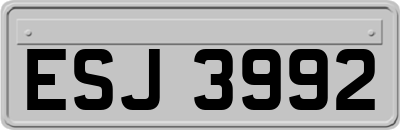 ESJ3992
