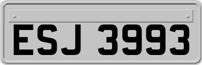 ESJ3993