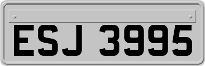 ESJ3995