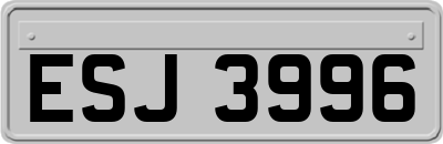 ESJ3996