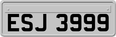 ESJ3999
