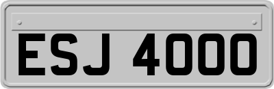 ESJ4000