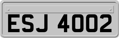 ESJ4002