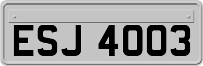 ESJ4003