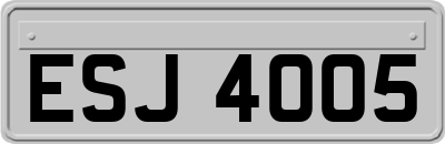 ESJ4005