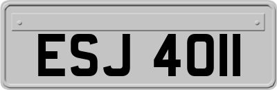 ESJ4011