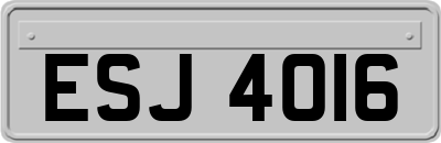 ESJ4016