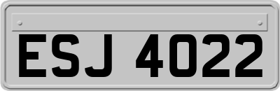 ESJ4022