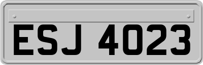 ESJ4023