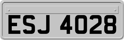 ESJ4028