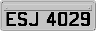 ESJ4029