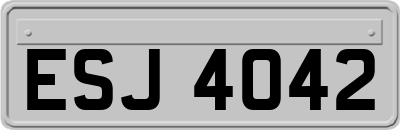 ESJ4042