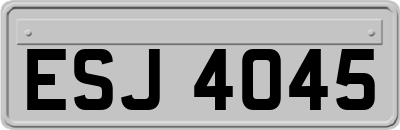 ESJ4045