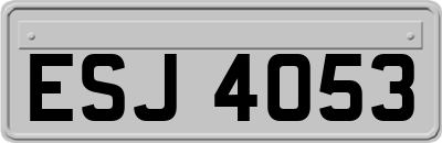 ESJ4053