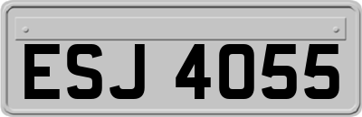 ESJ4055