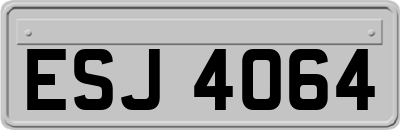 ESJ4064