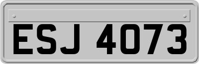 ESJ4073