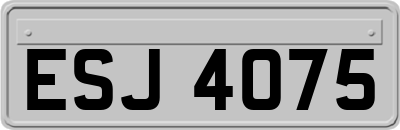 ESJ4075