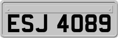 ESJ4089