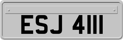 ESJ4111
