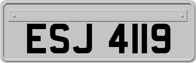 ESJ4119