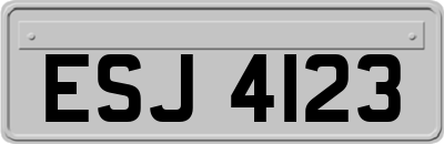ESJ4123